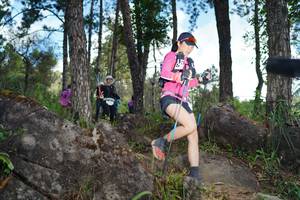 BIB: 
                            <button type="button" onclick="openModal(18959803)" class="btn btn-primary btn-sm float-right btn-popup" data-toggle="modal" data-target=".modal-high-quality">
                        <i class="fas fa-shopping-cart"></i> Add to Cart
                    </button>
                                            <button type="button" onclick="isThisMe(18959803, true)" class="btn btn-success btn-sm float-right btn-popup btn-isme hidden" data-toggle="tooltip" data-placement="bottom" title="นี่คือรูปของคุณใช่ไหม คลิกที่นี่เพื่อเอาเข้าอัลบั้ม">
                        <i class="fas fa-plus"></i> Add to album
                    </button>
                    <button type="button" onclick="isThisMe(18959803, false)" class="btn btn-warning btn-sm float-right btn-popup btn-isnotme hidden">
                        <i class="fas fa-ban"></i> Remove from album
                    </button>